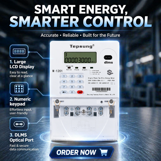 Tepsung M-1201 Digital Display Single Phase Prepaid Solid State Electronic Electric Meter Class1 Accuracy 60A Max Current