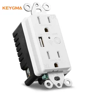 Wholesale USA North American 220V 15A Tuya APP Wifi Smart Plug Wall Outlet With USB 2.4A Fast Charge Port Outlet With ETL