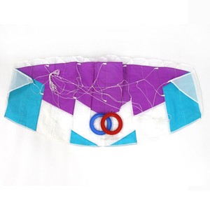 Fabricantes de juguetes chinos al por mayor dibujos animados mano <span class=keywords><strong>infantil</strong></span> volando <span class=keywords><strong>cometa</strong></span> animal chino jugetes chinos baratos - Product Image 6