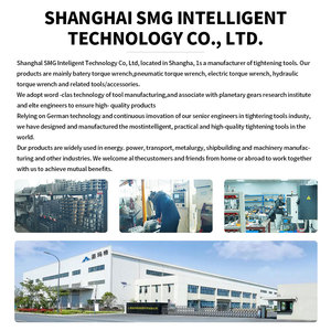 ประแจแรงบิดไร้สายแบบพกพา 2-10 นิวตันเมตร แบตเตอรี่ลิเธียมไอออน รุ่นขายดีที่สุด สำหรับขันเกลียว - Product Image 3