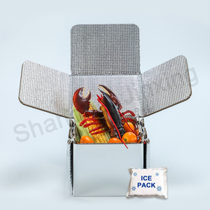 Customized Fruit and Sea food Meat Cardboard Insulated Cooling Styrofoam Grocery Shipping Carton Box