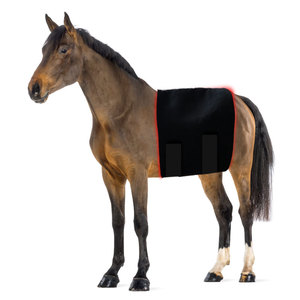 Soins aux chevaux Animaux Arthrite Soulagement de la douleur Personnalisable Horse Therapy Blanket - Product Image 3
