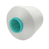 Polyester Sewing Thread for Sports Shoes, High Tenacity