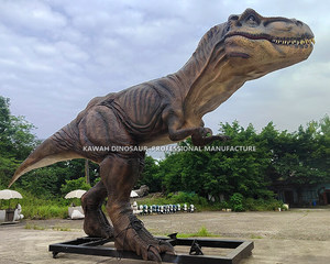 Tiranosaurio <span class=keywords><strong>Rex</strong></span> de 7 Metros de Largo, Dinosaurios Animatrónicos, Dinosaurios de Tamaño Real, Estatua Realista de <span class=keywords><strong>T</strong></span>-<span class=keywords><strong>Rex</strong></span> - Product Image 3