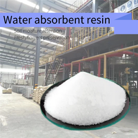 Cristal absorbant l'eau, polymère hautement absorbant l'eau, résine absorbante l'eau, rétention de l'humidité du sol agricole