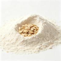 Poudre d'avoine végétale sans gluten, sans OGM, riche en protéines, pour les boissons nutritives végétaliennes et la pâtisserie
