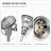Sensor Suhu Industri Pt100 Platinum Resistance Duplex Thermocouple Dengan Kepala Thermocouple