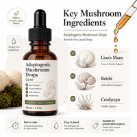 Leeuwenmanen, Reishi en Cordyceps Paddenstoelenextract Vloeibare Druppels voor Cognitieve en Vitaliteitsondersteuning Professionele Kwaliteit OEM