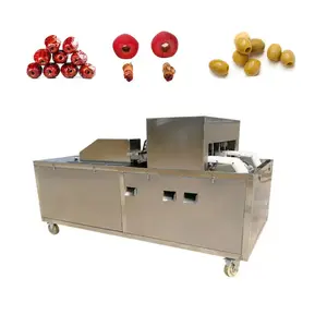 Plum hạt nhân đá chiết xuất extractor hạt giống lõi loại bỏ máy Hạt Nhân deseeding ngày pitter rỗ máy