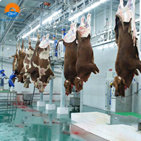 Projet clé en main d'abattoir de bovins, abattoir de vaches, équipement complet de transformation de la viande, boucherie