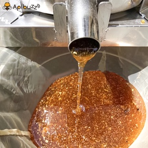 Presse à miel à manivelle manuelle de grande taille - Presse pour la cire - Pressage des abeilles - Équipement d'extraction du miel - Product Image 6