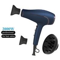 Sèche-cheveux professionnel de salon haute puissance, séchage rapide, ions négatifs, appareil de coiffure de salon, diffuseur, sèche-cheveux pour femmes