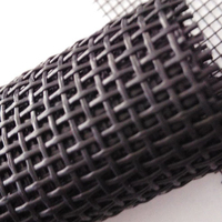 Filet de protection pour animaux de compagnie résistant aux rayures, en fibre de verre renforcée, pour fenêtres et portes, protection durable pour la maison