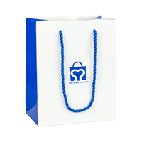 Sacs d'emballage en papier d'art de luxe écologiques et recyclables avec poignée en ruban et logo personnalisé pour une utilisation promotionnelle