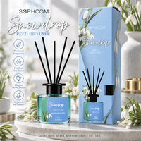 Diffuseur d'ambiance pour hôtel, bouteille en verre, bâtonnets en fibre, décor aromatique, fournisseur en gros, emballage personnalisé, export