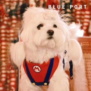 Arnés y Correa para <span class=keywords><strong>Mascotas</strong></span> Blue Port No Retráctiles para Pasear Perros y Gatos, Perros de Tamaño Pequeño a Mediano - Product Image 1