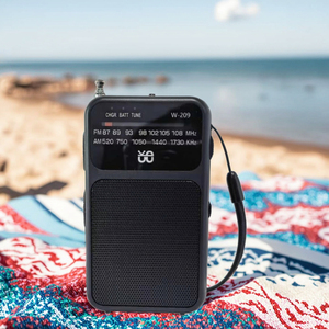 Klasik AM/FM radyo W-209, sabit bir arkadaşı/çift güç modu/topuzu işaretçi ayarlama/özelleştirilebilir logo - Product Image 6