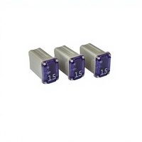 Fusible à déclenchement lent 15A / 20A / 25A / 30A / 40A 32V 58V Kit automobile à temporisation