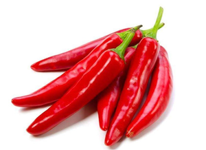 Grosir ekstrak Paprika kualitas tinggi ekstrak Capsicum Oleoresin - Product Image 2