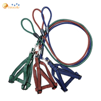 Ensemble de laisse et de harnais pour chien de luxe de haute qualité en sangle de nylon réfléchissante longue et antidérapante avec logo personnalisé