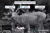 Mini caméra de surveillance de la faune, étanche, 4K 48MP, avec connexion Wi-Fi, facile à dissimuler, détection de mouvement, contrôle à distance.