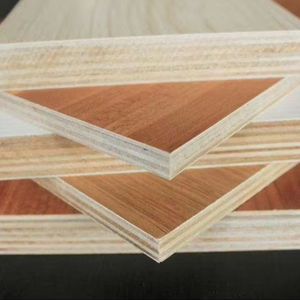 Plaque de contreplaqué stratifié filmé en bouleau 18 mm x 4x8 Standard Bizmarine - Product Image 1