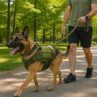 Taktik Hizmet Köpeği Göğüs Tasması Seti MOLLE Yelek Tasması Bungee Kayış Çekişsiz Ağır Hizmet Tipi Naylon Alman Çoban Köpeği Büyük Köpekler için