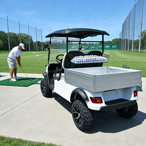 Carrito de Golf Eléctrico de Diseño Original Evolution, 2 Plazas, Litio 48V, Personalizado para Campos de Golf - Product Image 1