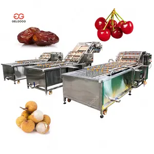 Filet de poisson Date Clean Cherry Processing, Lave-linge séchant, Machine à laver Destoner Longan