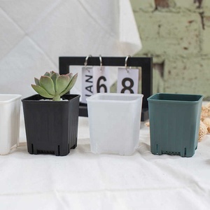 <span class=keywords><strong>Vaso</strong></span> di fiori da 2 pz <span class=keywords><strong>vaso</strong></span> quadrato di plastica semplice quadrato ispessito vasi da fiori <span class=keywords><strong>piante</strong></span> succulente - Product Image 2