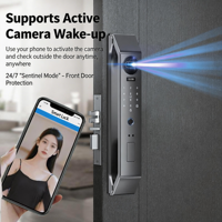 Serrure Intelligente Entièrement Automatique en Gros avec Reconnaissance Faciale 3D, Interphone Vidéo et Entrée par Empreinte Digitale pour Porte en Bois, Stockage Cloud Domestique