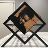 Support de rangement pour disques vinyles en métal, simple et rapide à assembler, présentoir pour albums, organisateur de disques vinyles