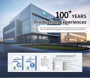 Lijitang OEM Nhãn Hiệu Riêng 100% Tự Nhiên Chines Thảo Dược Cao Hiệu Quả Thắt Lưng Đau Cột Sống Vá - Product Image 6