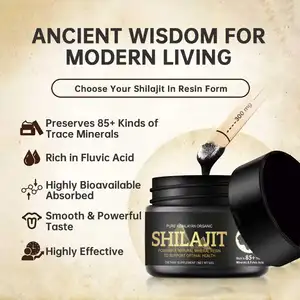 Grosir kualitas tinggi suplemen herbal naturel organik resin Shilajit ekstrak Himalaya murni