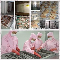 Voedseldroger & Fruit-/Vruchtdroogmachine voor groenten en vlees, dienbladdroger met 304 roestvrij staal, hoge productiviteit