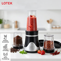 Compacte keukenblender 300W fruit- en groentesapcentrifuge, -molen, OEM ODM, aangepaste verpakking, CE