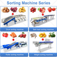 HNOC Industriële Oranje Olijf Aardappel Sorteermachine Blauwe Bes Fruit en Groente Micro Sorteermachine
