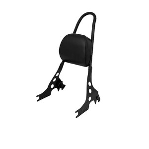 Pièces de moto, dossier arrière de moto, adapté à la modification du dossier des Harley XL883 1200 48, porte-bagages arrière amovible - Product Image 2