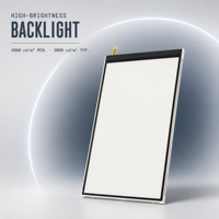 Module d'affichage LCD TFT haute luminosité de 6,95 pouces, panneau rétroéclairé LED 4800 cd/m² pour HMI automobile OEM