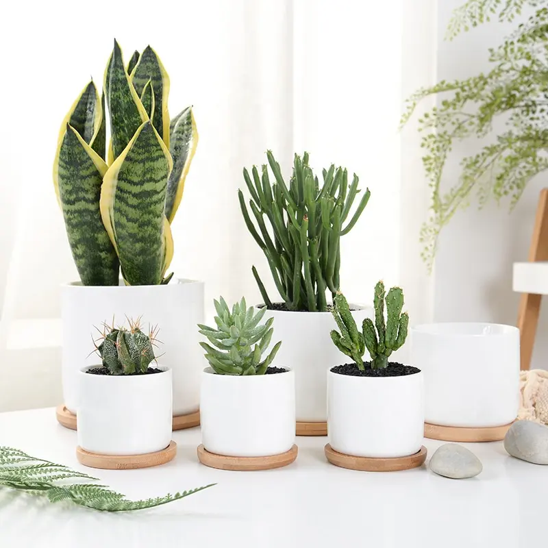 Eenvoudige Witte Succulent Bloempot Keramische Creatieve Bonsai Pot Indoor Ingemaakte Vlezige Plant
