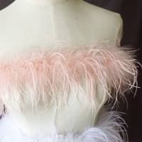 Plumes de carnaval colorées d'Afrique du Sud, grandes décorations en plumes d'oiseaux véritables orange, plumes blanches pour la décoration de mariage