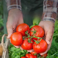 Sac d'emballage imprimé personnalisé sac en aluminium à presser petites pochettes de cornue en plastique liquide pour pâte de ketchup pochette à bec pour sauce tomate