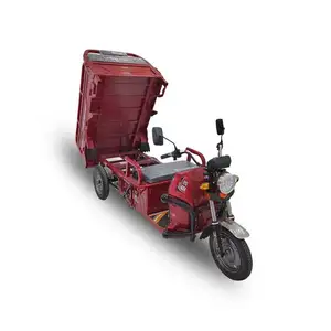 Cheap Price 30 Degree Electric Tricycle 1000W Motor Three Wheel Veihcle Cargo For Sell