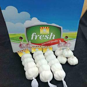 Nueva cosecha de ajo blanco puro fresco y ajo blanco normal, precio de ajo al por mayor más bajo, Alho Ail Ajo - Product Image 1