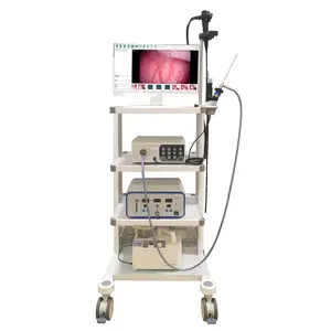 Caméra d'endoscope médical vétérinaire laparoscopie équipement ensemble de diagnostic unité d'endoscope médical
