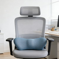 Coussin de Soutien Lombaire Respirant en Maille Tricotée 4D avec Mousse à Mémoire de Forme pour Allaitement, Camping, Voiture, Bureau, Maison, Canapé, Fauteuil Inclinable, Amovible, pour le Sommeil