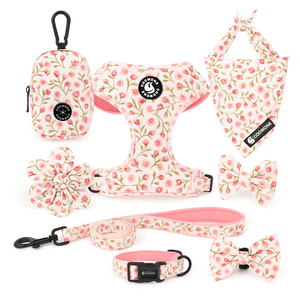 Set Harnesses Anjing Anti Tarik, Kalung Anjing & Tali Tangan Jacquard Custom dengan Logo, Kantong Camilan Anjing, dan Tas Pinggang - Product Image 1