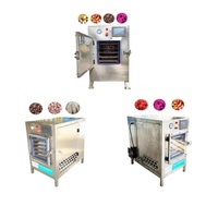 4Kg ~ 6Kg Kleine Werkblad Desktop Thuis Fruit Chips Conserva Elektrische Vriesdroger Melkpoeder Lyofilisator Machine Huishoudelijk Gebruik