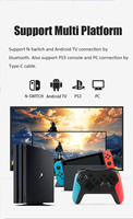 YLW 2021 Nouveaux Manettes et Contrôleurs de Jeu Sans Fil à Succès avec Fonction Turbo à Six Axes pour N-Switch Pro