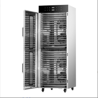 60KG Temps 32 Plateaux Grande Capacité Commercial Alimentaire et Fruit Déshydrateur Machine Industrielle 220v Déshydratant Moteur Core Composant